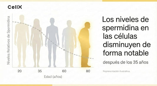 Espermidina | Con Taurina y Resveratrol | Bienestar diario | 60 cápsulas - CellX México
