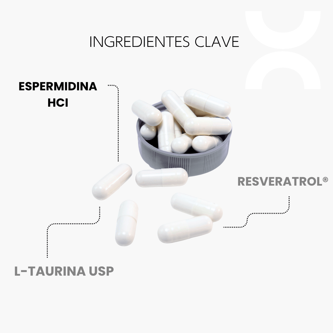 Espermidina - CellX México