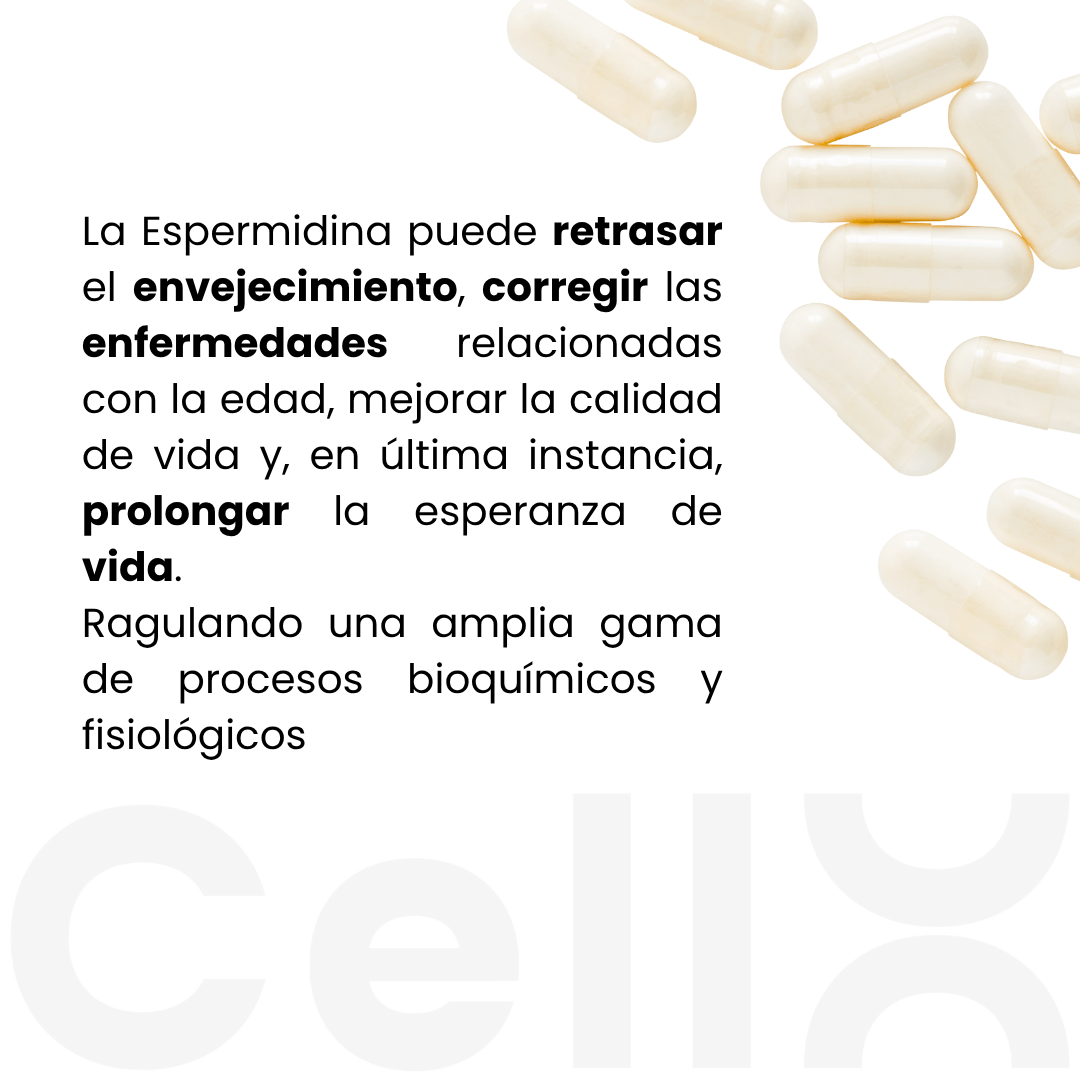 Espermidina - CellX México