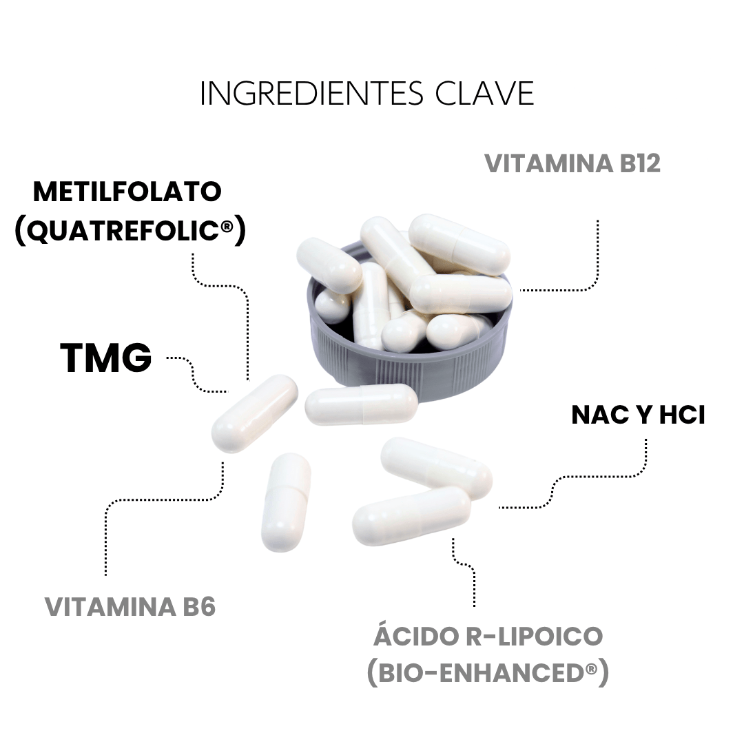 TMG | Complejo con Quatrefolic® y Vitaminas B | Bienestar diario | 60 cápsulas - CellX México