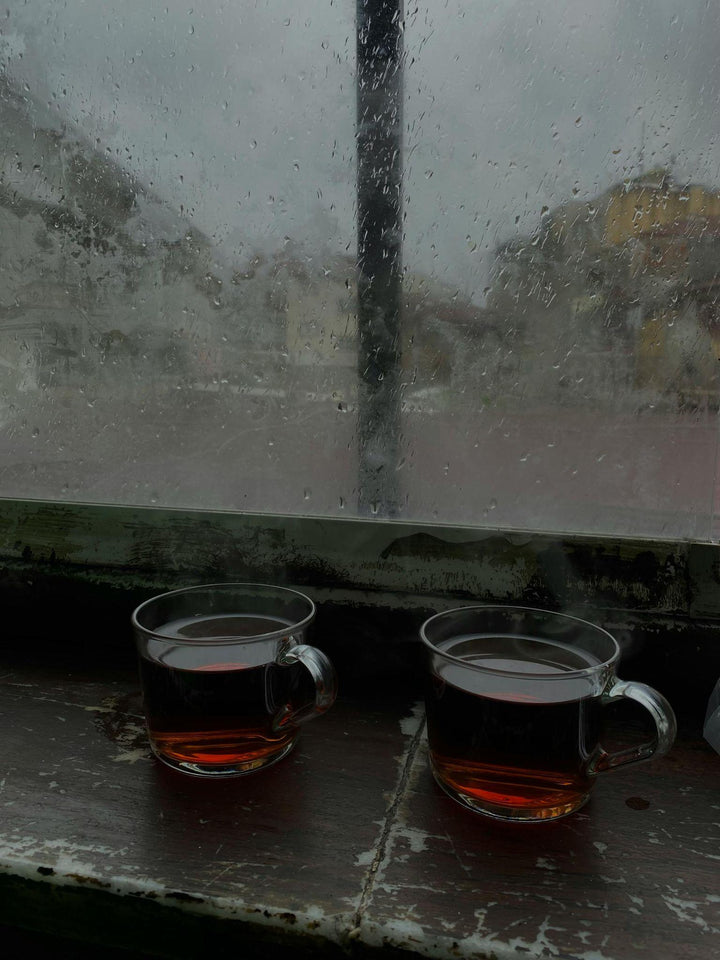 Fenogreco: Control Glucémico, Testosterona Libre y Galactogogo