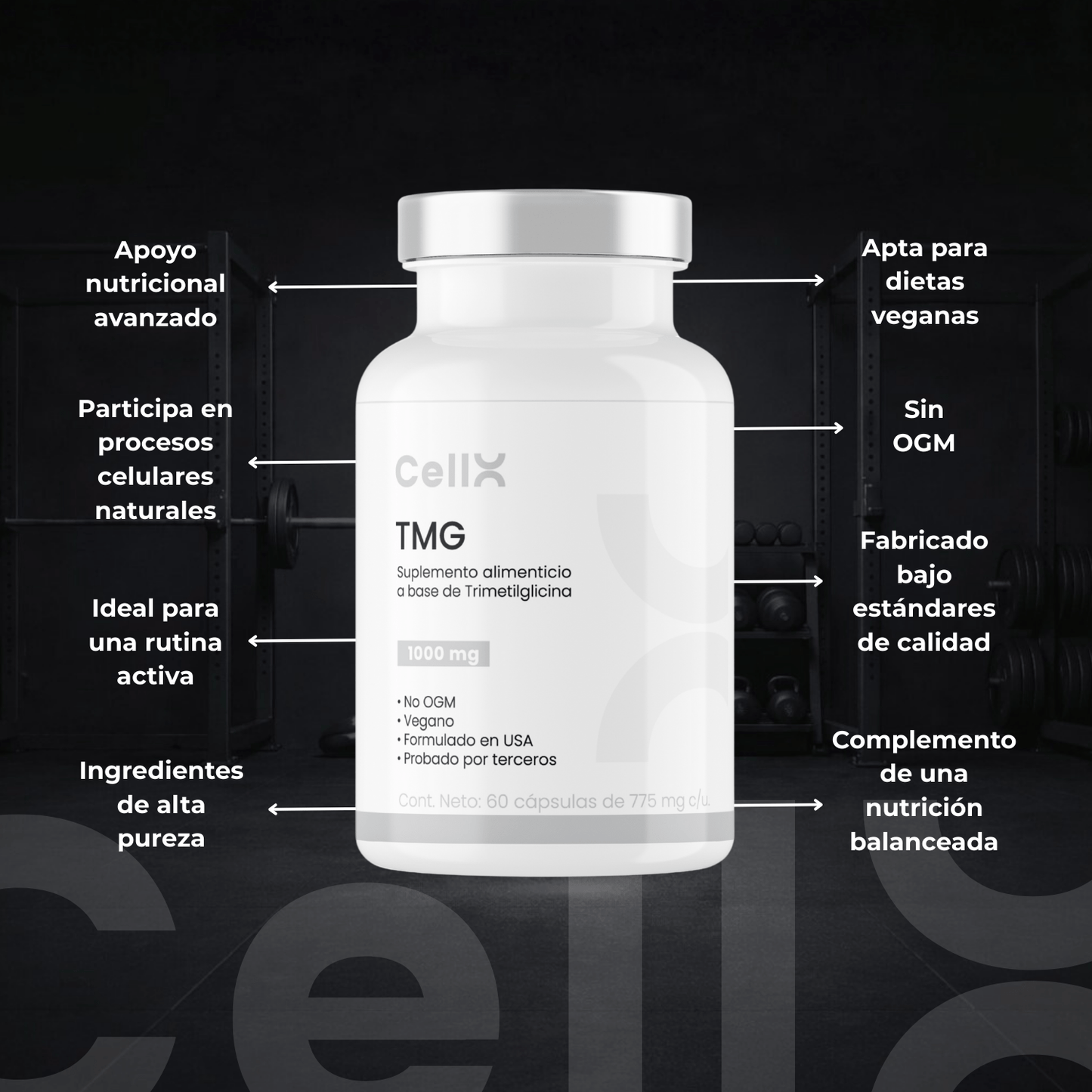 TMG | Complejo con Quatrefolic® y Vitaminas B | Bienestar diario | 60 cápsulas - CellX México