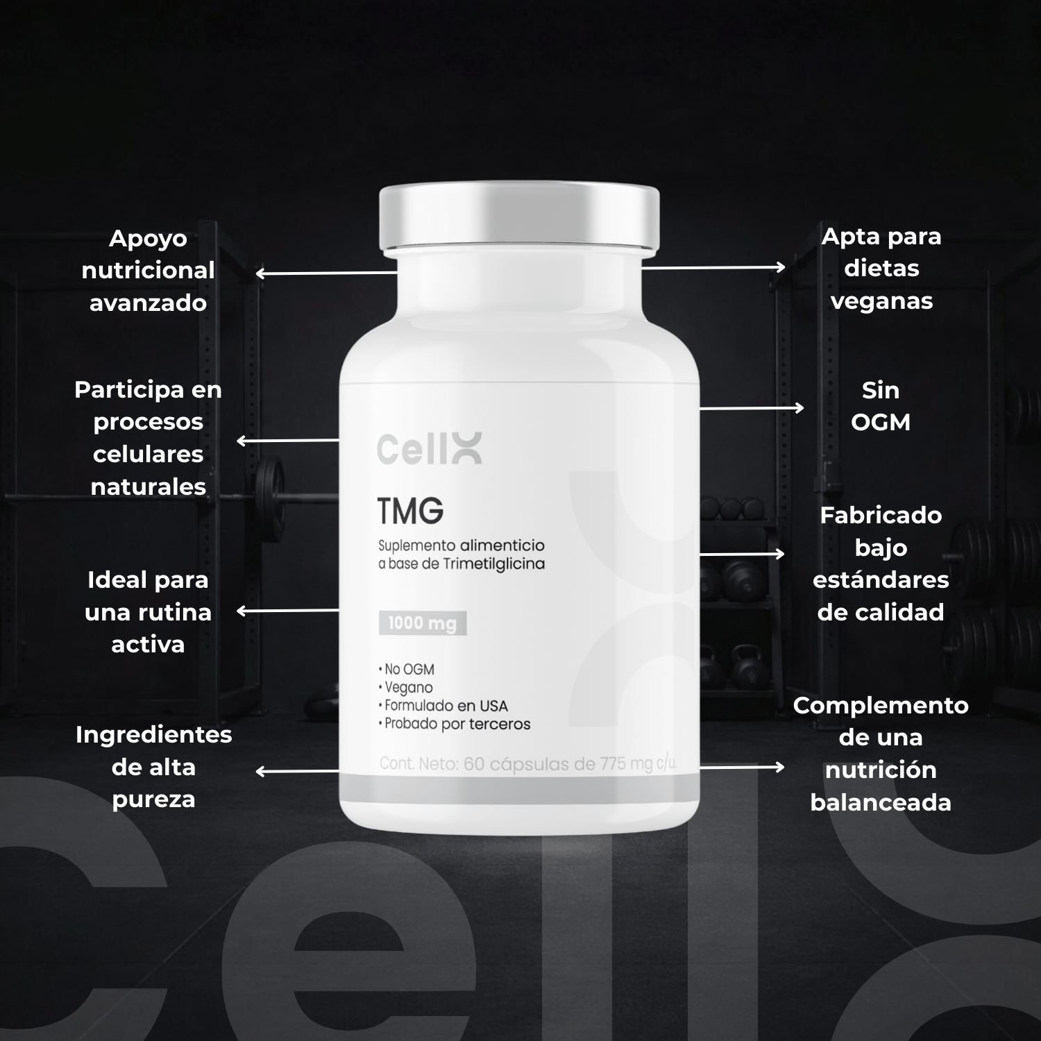 TMG | Complejo con Quatrefolic® y Vitaminas B | Bienestar diario | 60 cápsulas - CellX México