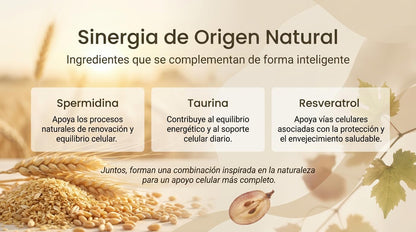 Espermidina | Con Taurina y Resveratrol | Bienestar diario | 60 cápsulas - CellX México