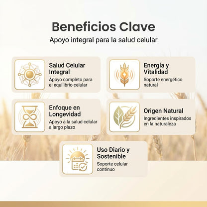 Espermidina | Con Taurina y Resveratrol | Bienestar diario | 60 cápsulas - CellX México