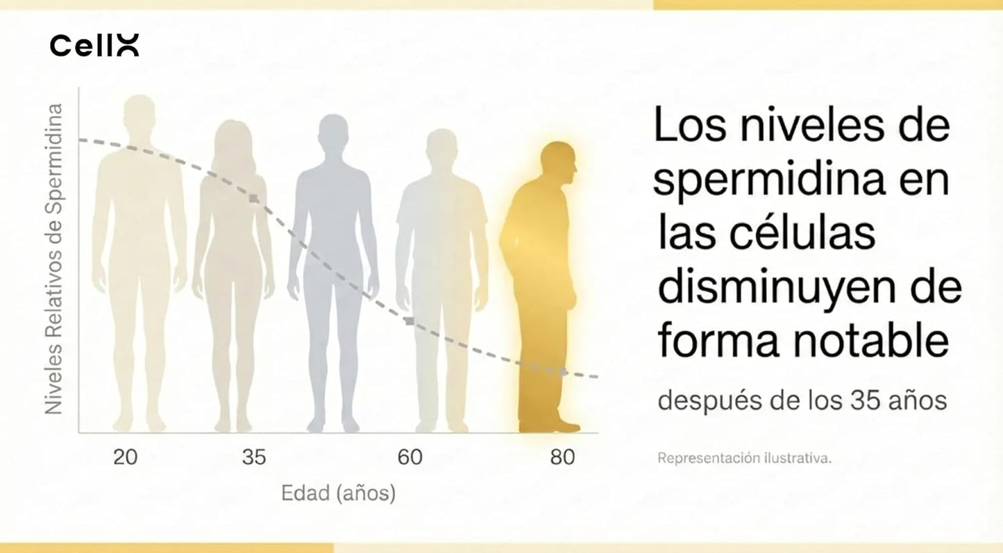 Espermidina | Con Taurina y Resveratrol | Bienestar diario | 60 cápsulas - CellX México