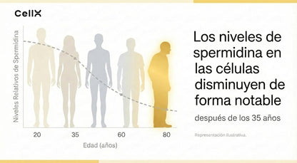 Espermidina | Con Taurina y Resveratrol | Bienestar diario | 60 cápsulas - CellX México