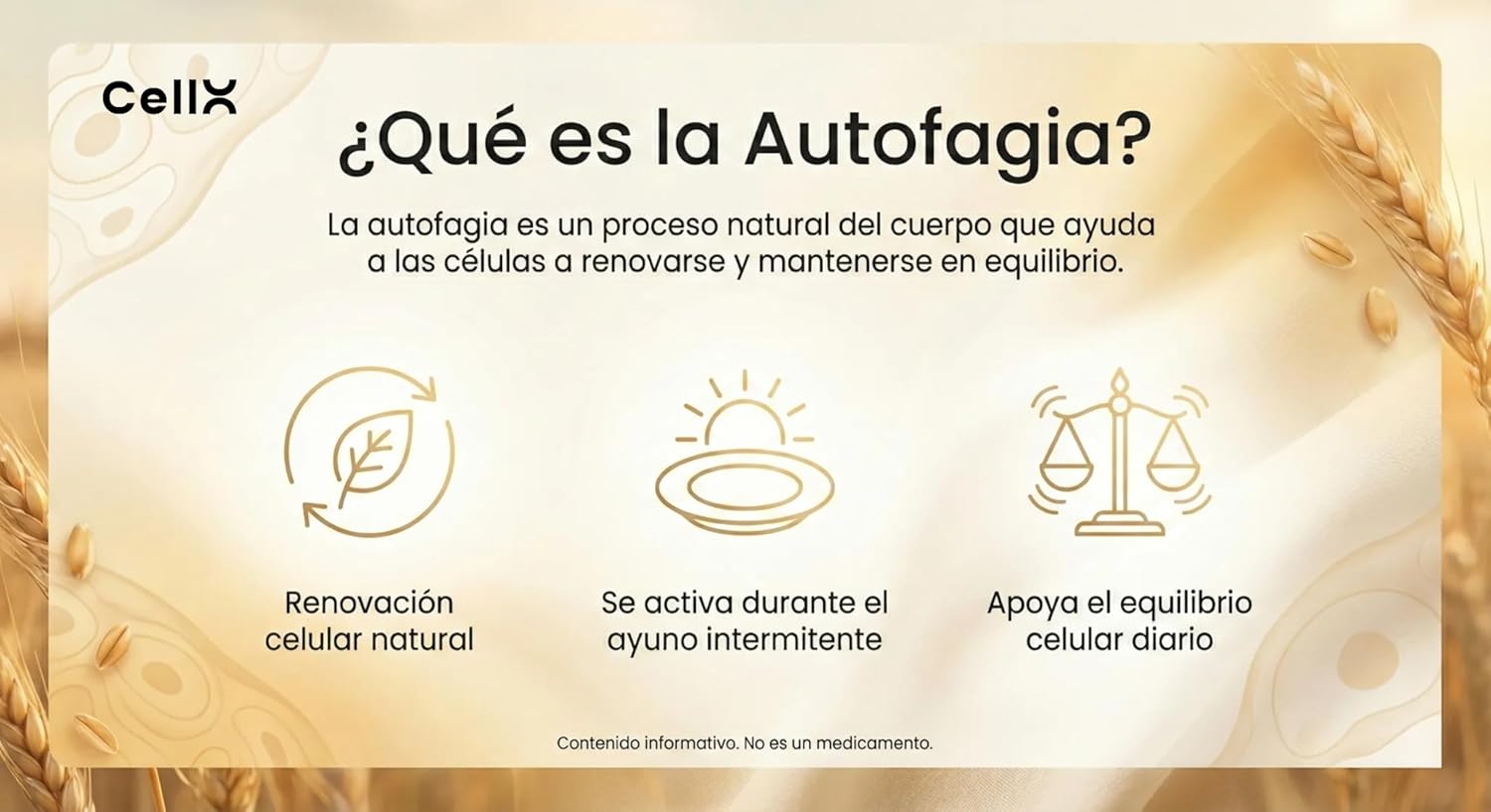 Espermidina | Con Taurina y Resveratrol | Bienestar diario | 60 cápsulas - CellX México