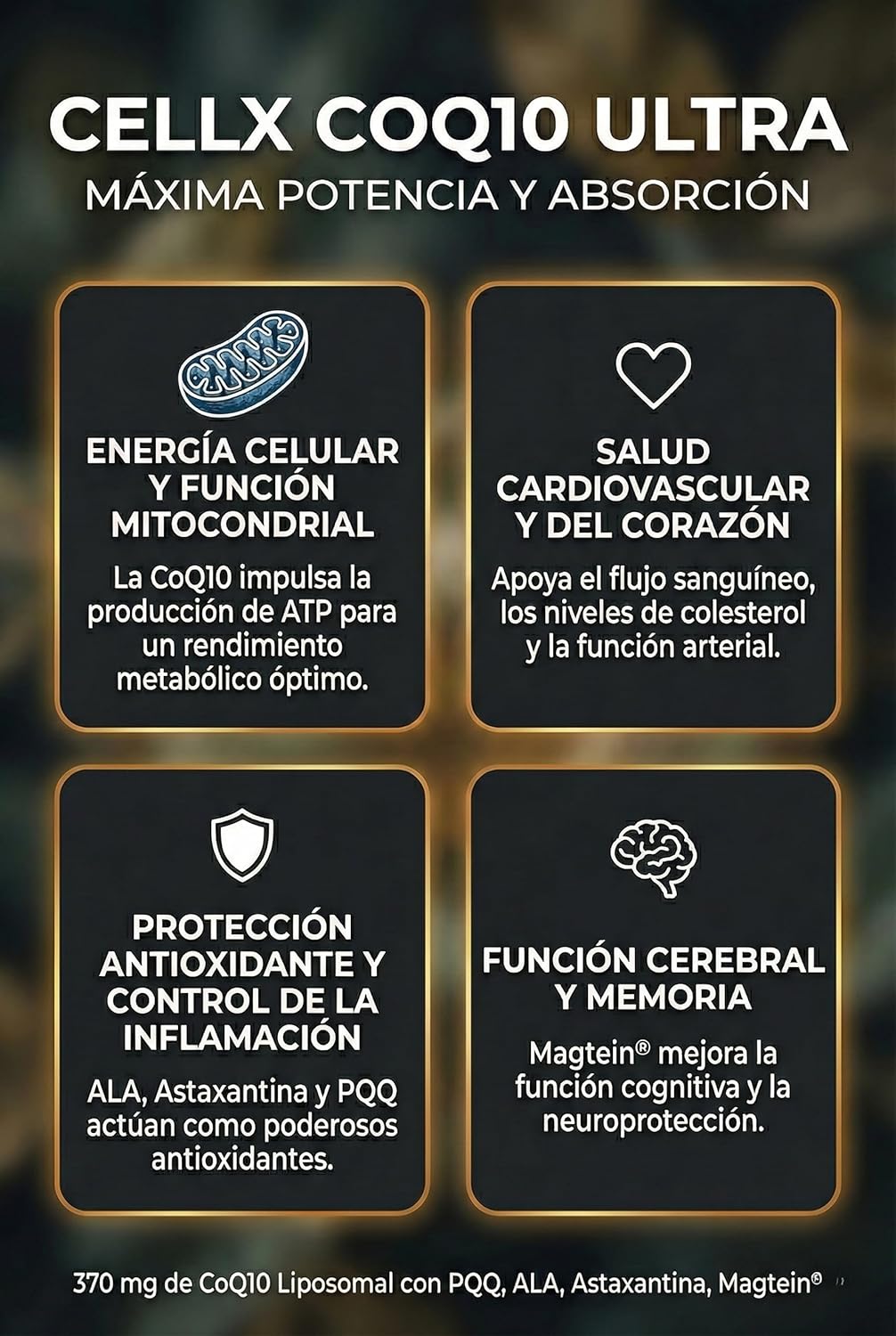 CoQ10 | Liposomal, PQQ y ALA | Energía celular y corazón | 60 cápsulas