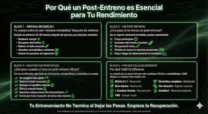 Post - Workout | BCAA 2:1:1, Glutamina y ALCAR de CellX | Mezcla para después del entrenamiento | Polvo - CellX México