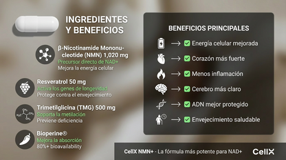 NMN 1000 mg – Fórmula de Bienestar Diario