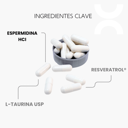 Espermidina - CellX México