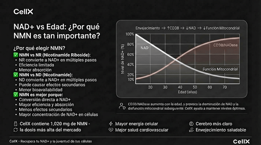 NMN 1000 mg – Fórmula de Bienestar Diario - CellX México