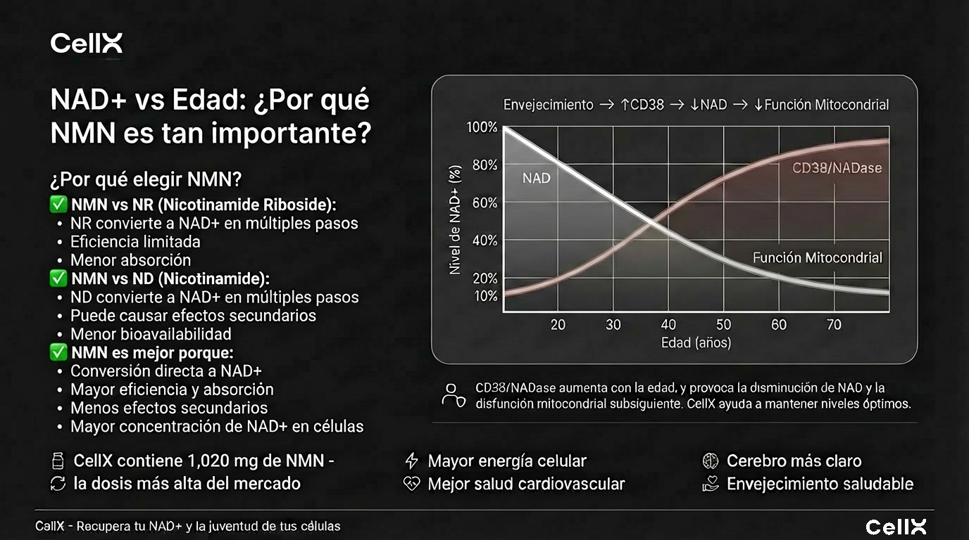 NMN 1000 mg – Fórmula de Bienestar Diario