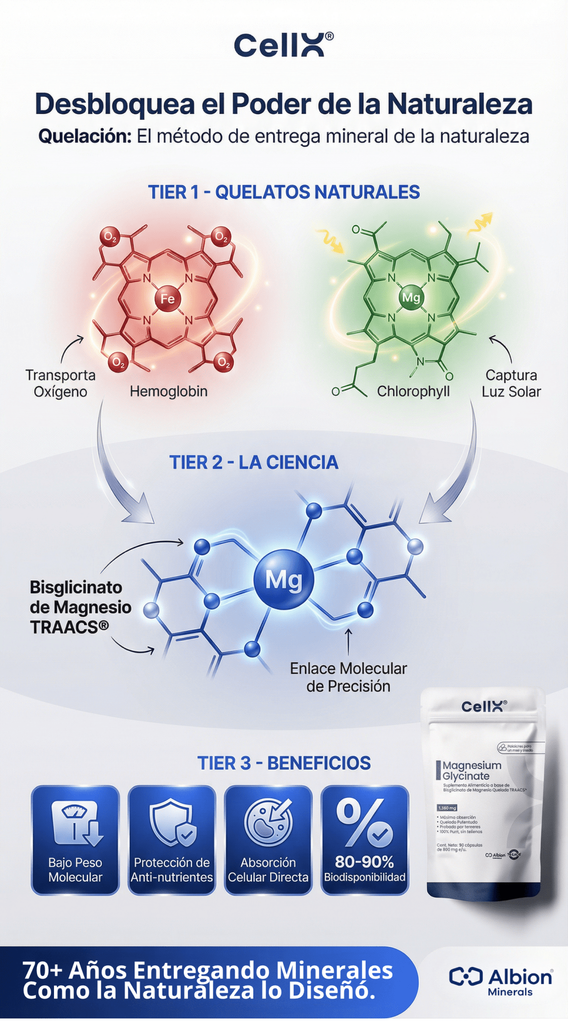 Magnesio Bisglicinato Quelado TRAACS® – Calma, Sueño y Energía Celular - CellX México