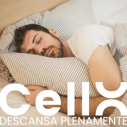 Magnesium Ultra | Complejo de Magnesio y Vitaminas B | Bienestar diario | 90 cápsulas - CellX México