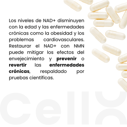 NMN - NAD+ Booster - CellX México