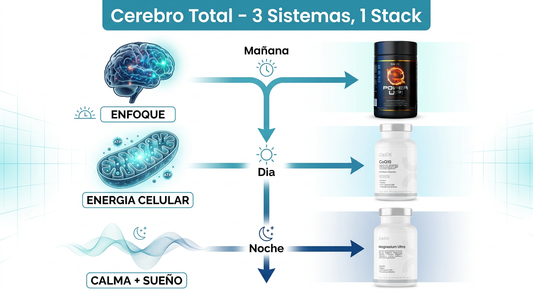Stack Cerebro Total | Power Up! + CoQ10 + Magnesium Ultra