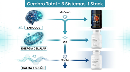 Stack Cerebro Total | Power Up! + CoQ10 + Magnesium Ultra