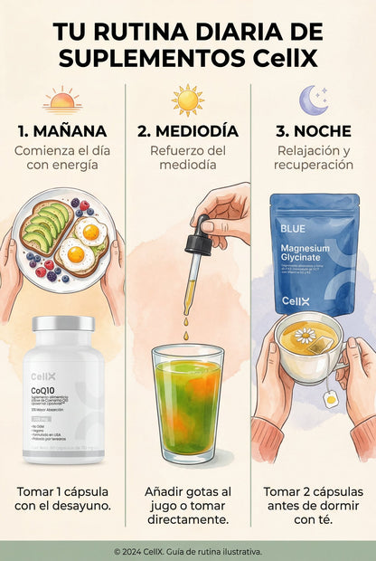 Stack Cerebro Total | Power Up! + CoQ10 + Magnesium Ultra