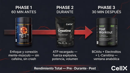 Stack Rendimiento Total | Creatina + Power Up! + Post-Workout