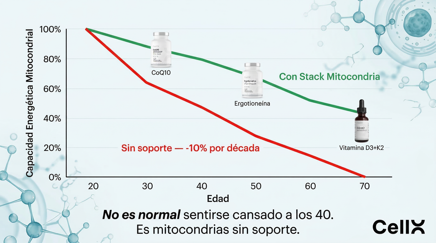 Stack Mitocondria | CoQ10 + Ergotioneína + D3+K2
