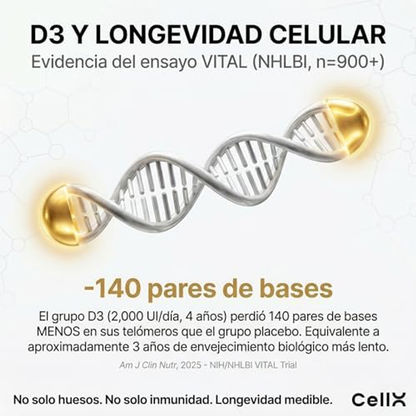 Vitamina D3 + K2 MK-7 en Gotas | Alta Absorción con Aceite MCT | 750 Porciones